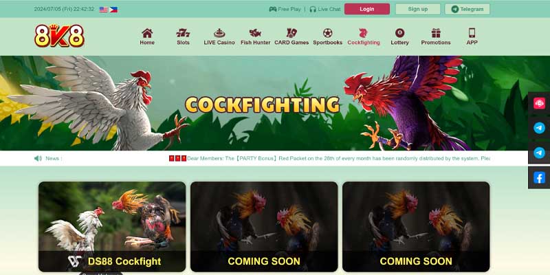 Why Choose Cockfighting?