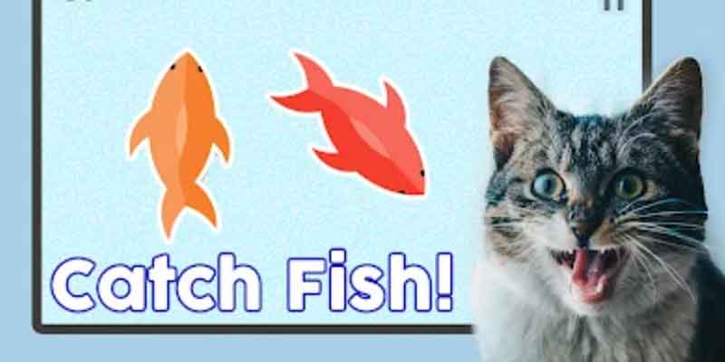 Discover Cat Fishing Games With A Fun Fishing Experience